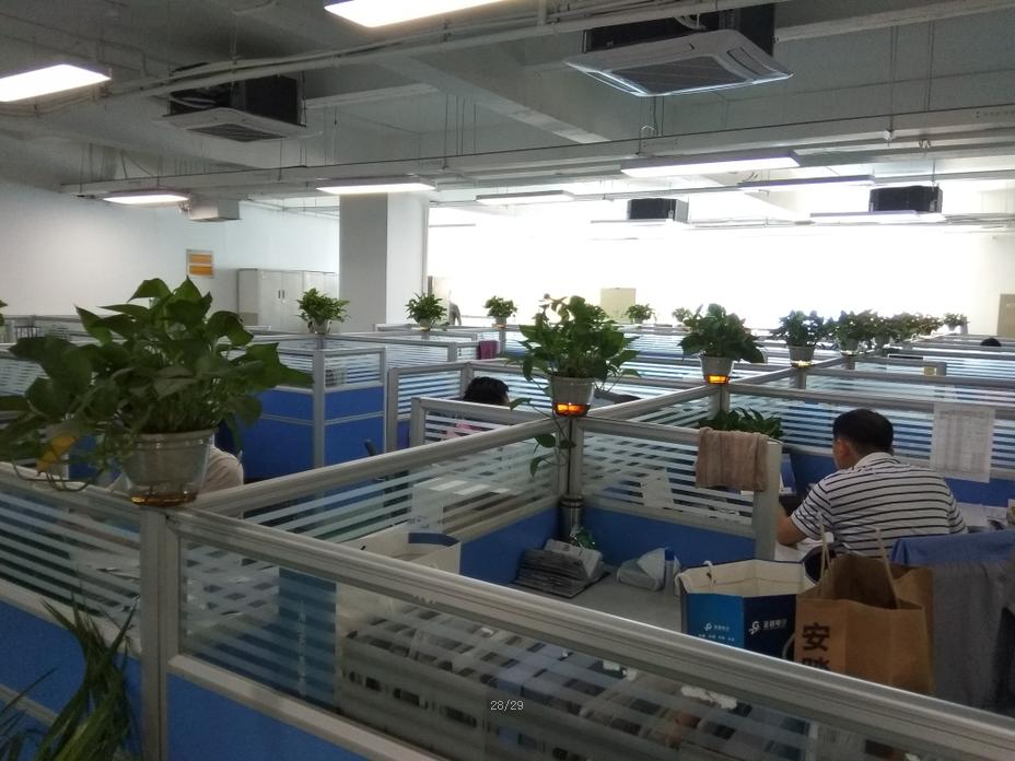 161705398589552459.jpg 1562753817.jpg